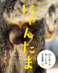 Nyantama Kassi Munandid Fotoalbum Tankobon Pehmekaaneline Yoshizawa Rumiko JAAPAN