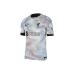 Nike Liverpool FC 22/23 Match v&otilde;&otilde;rsillevorm Dri-FIT ADV jalgpallivorm 'Valge Must' Meeste DN2708-101 XXL gray