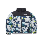 THE NORTH FACE 1996 Retro Nuptse 700 Fill Pakitav Jakk Meeste NJ1DP01A S