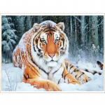 Tiger Sit On Snow 5D DIY Teemantmaal T&auml;ielik Loomad T&auml;ispuurimine Ristpistes K&auml;sit&ouml;&ouml; Stitch Kodukaunistus 25x20CM