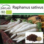 SAFLAX - Mahe - Redis - Mooli Minowase - 100 seemet - Potisubstraadiga paremaks kasvatamiseks - Raphanus sativus