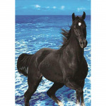 DIY Horse 5D Teemantmaal T&auml;isringi puur Ristpistes Komplekt Loomade tikandid Mosaiik Seinakunst Rhinestones Kingitus Kodukaunistus Full Round 20x30CM