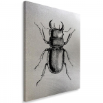 Feeby l&otilde;uenditr&uuml;kk, h&otilde;bedane putuka joonistus 40x60 hall v&auml;rv