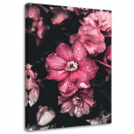 L&otilde;uenditr&uuml;kk Flowers Pink Nature 40x60 roosa