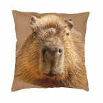 Capybara Dozing In The Sunshine Printing Padjap&uuml;&uuml;r Dekoratiivne Luksuslik Padjakate Pehme 45x45cm Padjap&uuml;&uuml;r 30x30cm 12x12in