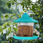 Ripplindude s&ouml;&ouml;tja s&ouml;&ouml;tmisjaam Koolibri toidujaotur aeda