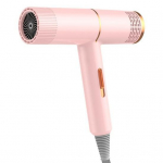 Majapidamisf&ouml;&ouml;n 800 W suure v&otilde;imsusega sinise valguse negatiivse iooniga juuksehooldusega f&ouml;&ouml;niga naiste meeste f&ouml;&ouml;n vaigistavate ja kiirelt kuivavate juuste jaoks (EU pistik) EU valge