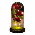 Youshengi konserveeritud roos klaaskupliga LED-valgustusega igavene lill Romantiline igavesti roos kingitus naistele s&otilde;brap&auml;evaks, emadep&auml;evaks C