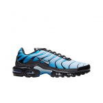 Nike Air Max Plus Sinine Gradient 275