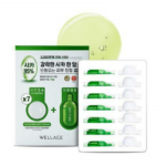 Wellage Real Cica Calming One Day Kit 7 Sheets