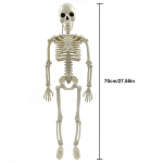 170cm Halloweeni &Otilde;udusanatoomia Liigutatav Kolju Skelett Halloweeni Rekvisiidid Kujutatav T&auml;issuuruses Skelett Rekvisiit Halloweeni Kaunistus