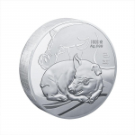 2019 Seakultuuri Aasta M&auml;lestusm&uuml;nt H&otilde;bedast, Kuldse Sea &Otilde;nnistus, 1kg, M&auml;lestusm&uuml;nt, H&otilde;bedane Plaak, 1000g, H&otilde;bem&uuml;nt, Kingitus 10CM diameter