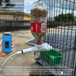 Paparagoi lindude s&ouml;&ouml;tja mobiiltelefoni juhtimine kaugjuhtimispult automaatne taimer tuvi kuldnokk automaatne s&ouml;&ouml;tja lindude s&ouml;&ouml;tja Parrot Feeder gray