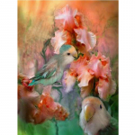 Teemanttikandid Rhinestones Tikand Maalimine Tikand K&auml;sit&ouml;&ouml; Armastus iiriste seas Papagoi 20X30CM