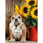 T&auml;is&uuml;mmarguse puuriga teemanttikandid vaikne kutsikas 5D DIY teemantmaal ristpistes kivikivi 20X30CM