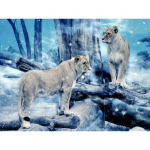5D Teemanttikandid Talvine L&otilde;vi Teemantmaali Loomade Rhinestone Ristpistes K&auml;sitsi valmistatud komplekt 20X30CM