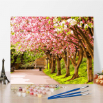 DIY v&auml;rvid numbrite j&auml;rgi &otilde;limaali komplekt L&otilde;uend DIY &otilde;limaal numbrite j&auml;rgi Seinakunsti kaunistused kodukinki kunstiks ja hobideks 40x50cm no frame