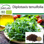 SAFLAX &ndash; Orgaaniline &ndash; Wild Rocket &ndash; 1500 seemet &ndash; Potisubstraadiga paremaks kasvatamiseks &ndash; Diplotaxis tenuifolia