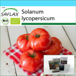 SAFLAX - Kinkekomplekt - Orgaaniline - Tomat - Saint Pierre - 15 seemet - Koos kinkekarbi, kaardi, etiketi ja potisubstraadiga - Solanum lycopersicum