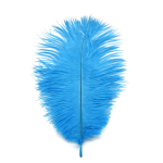 Kaunid jaanalinnusuled meisterdamiseks ehete meisterdamiseks pulmapeo sisekujunduseks tarvikud pulmakaunistus 20-25cm 5pcs t&uuml;rkiissinine