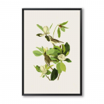 Elegantne luulelind puul Kaasaegne lihtne p&otilde;hjamaine A4 l&otilde;uendmaal Kunstitr&uuml;kk Plakat Seinamaalingud Magamistoa kodukaunistus 21x30cm No Frame