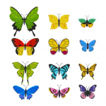 12 tk 3D Butterfly Vibrant Color Seinakleebised Film Printimine Realistlik isekleepuv ruumikaunistus F