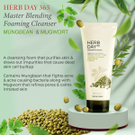 THE FACE SHOP - Herb Day 365 Master Blending Cleansing Cream #Mung Bean&Mugwort