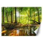 Taustapilt Vool metsas p&auml;ikeset&otilde;usul Loodus 100x70 roheline