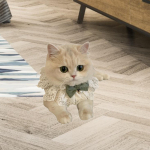 Lace Cat Collar,Sweet,Kitten Collar Pet Supplies Dress up Kerchief Adjustable Scarf with