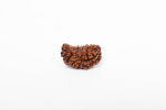 Looduslik 1 Mukhi Rudraksha helmes (Kaju Dana) | V&otilde;imas helmes valgustumiseks, vabanemiseks, mok&scaron;aks, t&otilde;eks ja eneseteostuseks | Orgaaniline ja laboratoorselt sertifitseeritud pruun