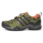 Pop Trading Company x adidas Terrex Swift R2 GORE-TEX Wild Pine Meeste tossud Roheline Core-Black Semi-Solar-Yellow GW9658 43⅓