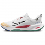 Nike Juniper Trail 2 GORE-TEX White Cedar Court Blue Meeste Tossud Must FB2067-102 44.5