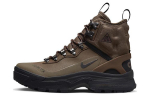 Nike Acg Zoom Gaiadome GORE TEX 'Trails End Brown' DD2858-200 39
