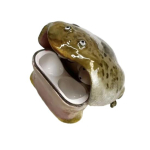 Kaitse&uuml;mbris Air Pods Pro/Pro 2/Pro 3/Air Pods 4 jaoks Pehme Kriimustusvastane Tilgakaitseline Kole Konni Disainiga Traadita K&otilde;rvaklappide&uuml;mbris for AirPods Pro A brown