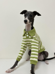 Nahas&otilde;bralik koerte kevadine s&auml;rk | Pehmed puuvillased kutsikate polos&auml;rgid | Whippet'i ja Itaalia hurtide kevadised riided | Dropshipping 1 roheline