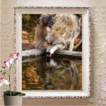 5D Teemantmaaling Teemanttikandid K&auml;sit&ouml;&ouml;maal Mosaiik Kingitus Loomade Teemant Seinakunst Dekoor Full Round 20X30CM