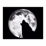 5D Teemantmaal Kuu ja Hundi Teemanttikandid Ristpistes Kodukaunistused K&auml;sitsi valmistatud kingitused Round 20x30cm