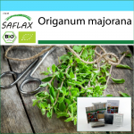 SAFLAX - Kinkekomplekt - Orgaaniline - Majoraan - 700 seemet - Kinkekarbi, kaardi, etiketi ja potisubstraadiga - Origanum majorana