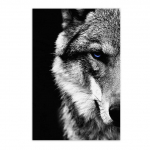 Must valge hundipea HD-prinditud l&otilde;uendimaal Moodsad loomad Seinakunsti plakat prindib lahedaid hundipilte elutoa sisekujunduseks 20x30cm