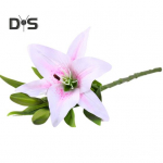 Katkenemisvastane varda v&otilde;ltsliilia &otilde;is ilma n&auml;rbumiseta peen suure reduktsiooniga v&otilde;ltsliilia &otilde;is roosa