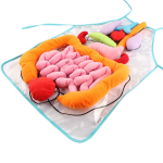 3D-organi p&otilde;ll, anatoomia p&otilde;ll Inimkeha organite tundmise hariv m&auml;nguasi koolieelses lasteasutuses. 65x45cm must