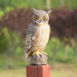 &Ouml;&ouml;kull Ornaments Dekoratsioon Halloween Kodu v&auml;liskunst Skulptuur