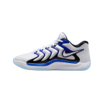 Nike KD 17 Penny Meeste Tennised Sinine Valge Must FJ9487-100 42.5 white