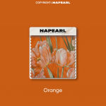 1 TK NAPEARL Euroopa stiilis oranžide tulbiprintidega kardinad T&auml;ielikult pimendav kardin magamistuppa, elutuppa, r&otilde;dule, akna jaoks, kodukaunistuseks W250cm x L260cm oranž