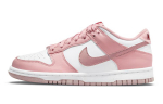 Nike Dunk Low Roosa Samet GS DO6485-600 40