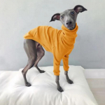 Koerariided Kevad s&uuml;gis K&otilde;rge kaelarihm Kahe jalaga lemmikloomade riided Greyhound Whippet Turtleneck Pidžaamad Soojad riided Koeratarbed (orange,S)