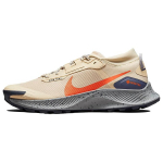 Nike Pegasus Trail 3 GTX 'Rattan Campfire Orange' Meeste DC8793-200 EU 41