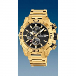 Kella - Festina - F20492-4 - Mees - T&auml;iskasvanu - EAN 8430622746598
