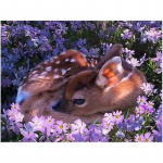 Teemanttikandid t&auml;is &uuml;mmargune Daimond Painting Forest Sika Deer Rhinestone maalid seinakleebis 20X30CM