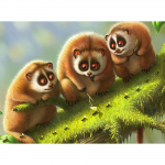 5D DIY teemantmaal, v&auml;ike ahv sipelgas tikandid ristpistes kivimosaiik kodukaunistus 20X30CM